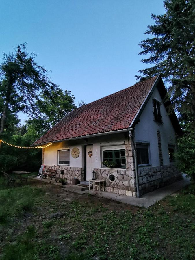 Villa Irofeszek Vendeghaz Zebegény Exterior foto